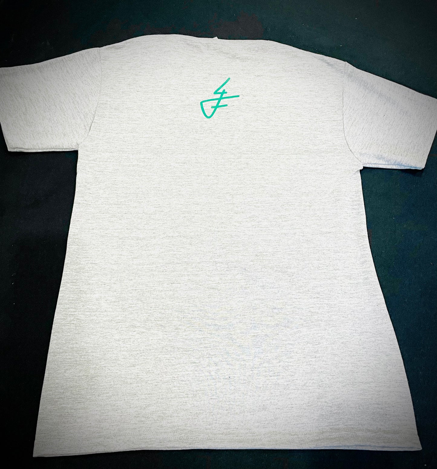 Grey Horizontal/4F Logo T-shirt